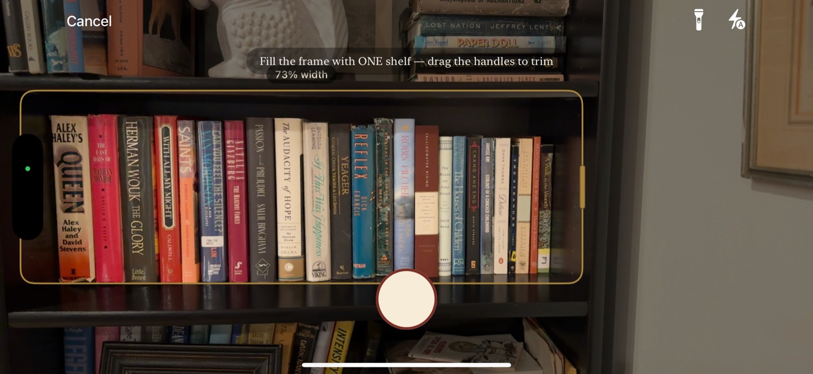 The scan camera framing a single shelf of books, reading every spine at once